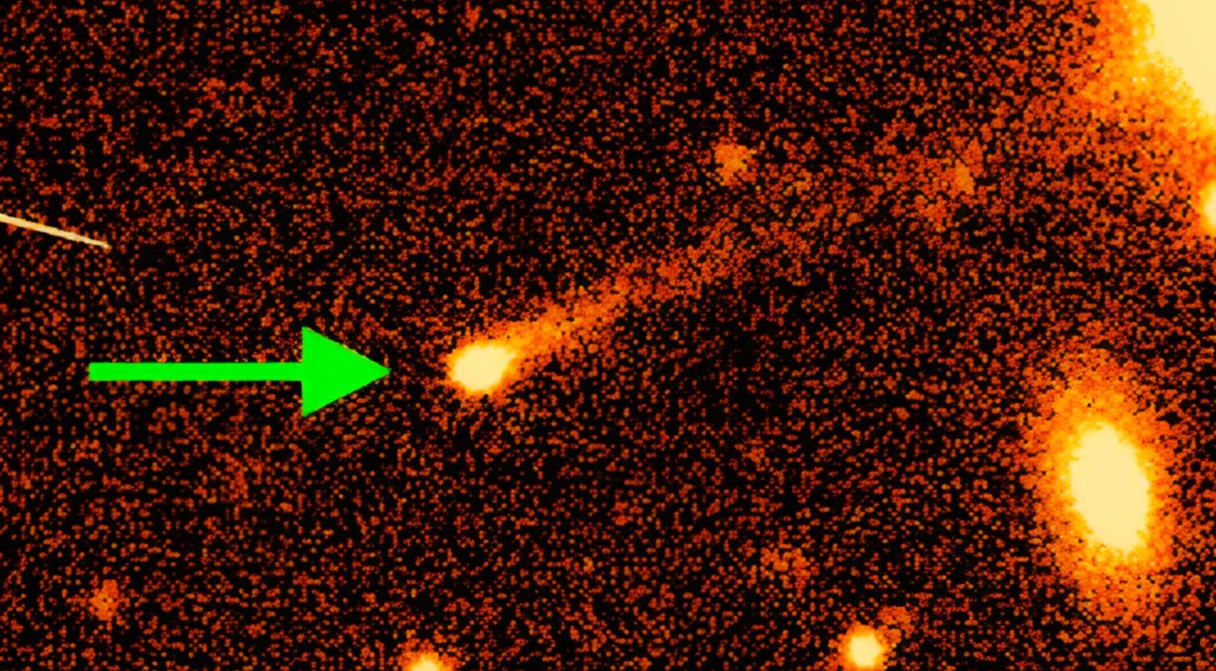 Otkriveno 15 rijetkih 'aktivnih asteroida' Zasluge: Colin Orion Chandler/University of Washington.