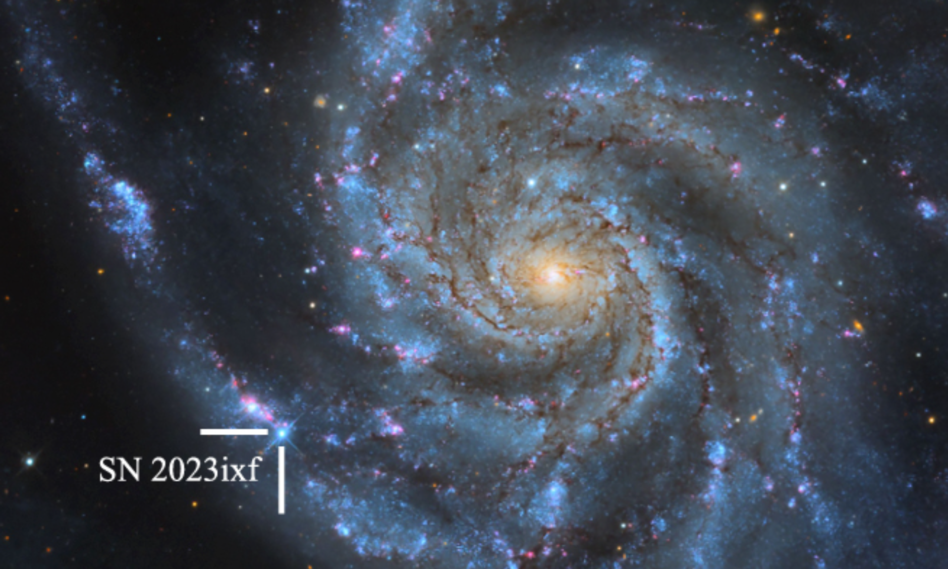Supernova M101. Hosseinzadeh et al. 2023.