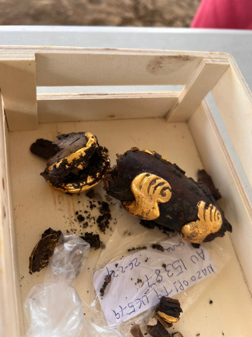 Zlatni artefakt, čiji oblik podsjeća na životinju, otkriven je u grobnici drevnog vladara Cocléa u Panami, zahvaljujući radu Ministarstva kulture Paname.