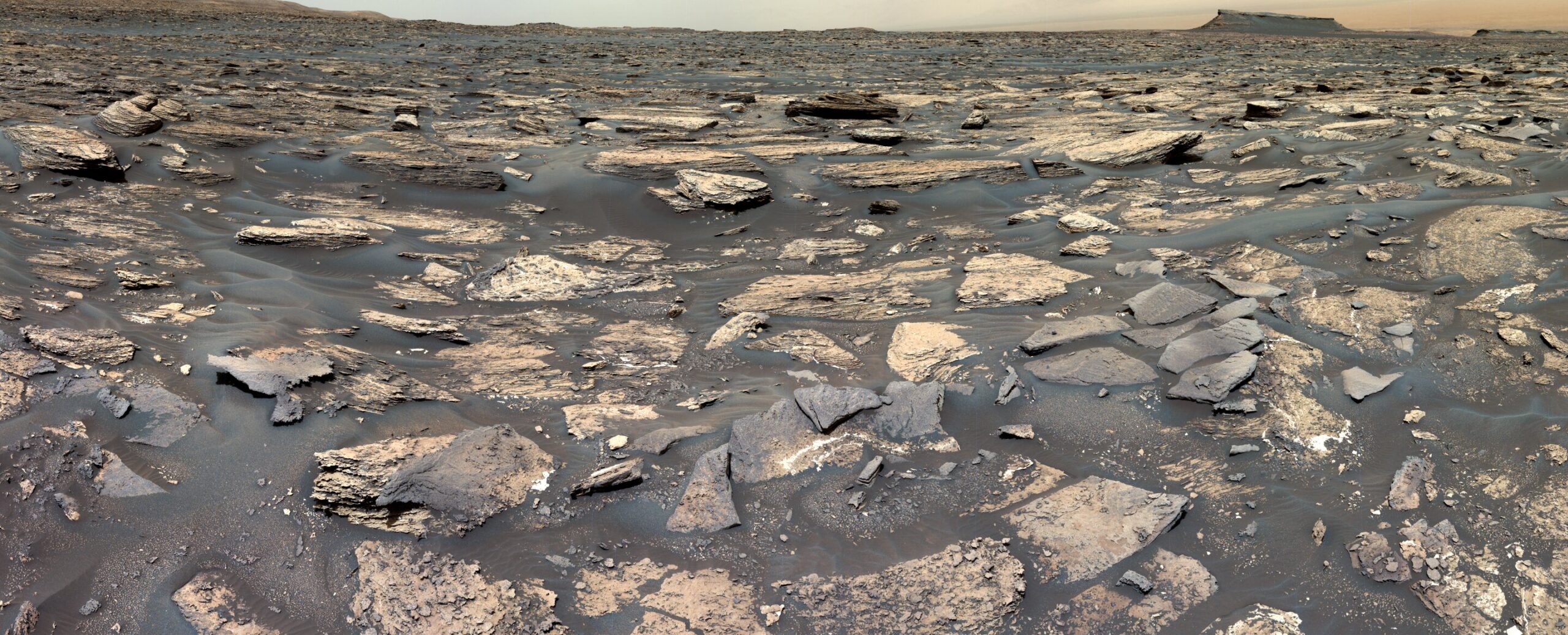 Fotografija površine Marsa. Zasluge: NASA/JPL-Caltech/MSSS.