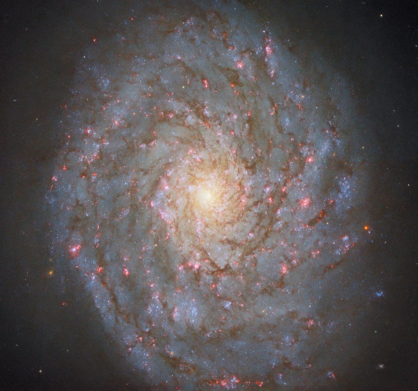 Ova fotografija snimljena Hubble svemirskim teleskopom prikazuje sjajnu spiralnu galaksiju NGC 4689. ESA/Hubble & NASA, D. Thilker, J. Lee i PHANGS-HST tim.