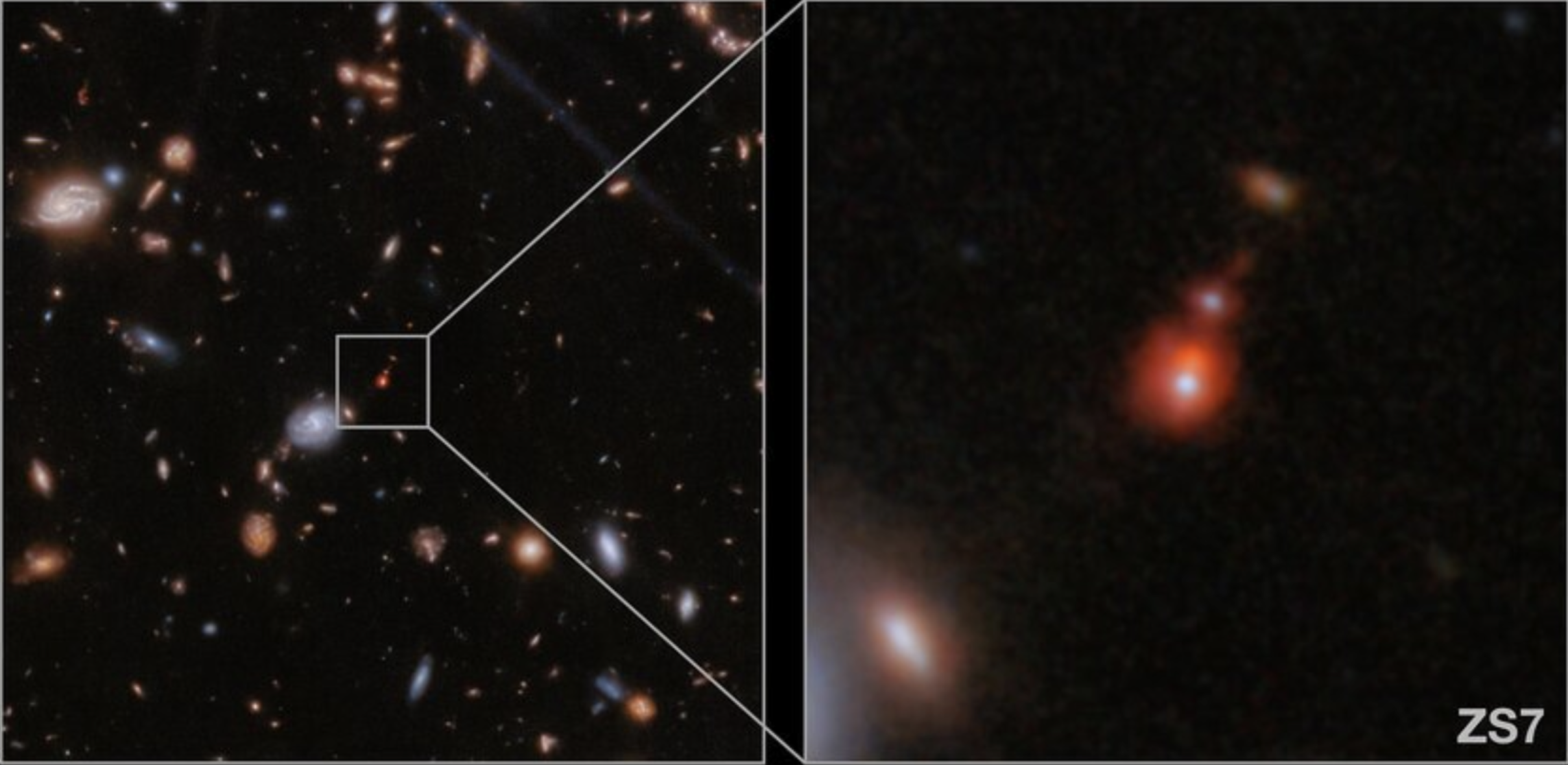 Webb je detektirao najudaljenije spajanje crnih rupa do sada. Zasluge: ESA/Webb, NASA, CSA, J. Dunlop, D. Magee, P. G. Pérez-González, H. Übler, R. Maiolino, et al.