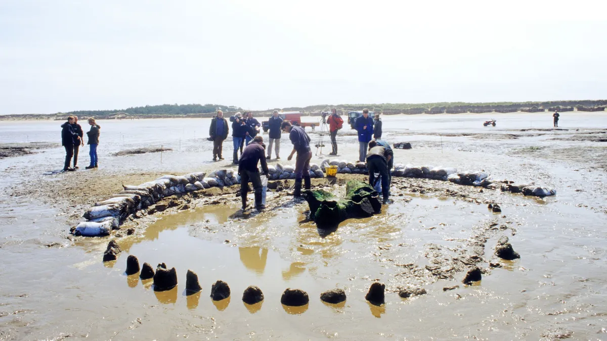 Studije pokazuju da je drevni drveni krug, nazvan "Seahenge", izgrađen 2049. godine prije Krista. Iskopan je iz slane močvare blizu plaže na istočnoj obali Engleske 1999. godine. Zasluge: Holmes Garden Photos.