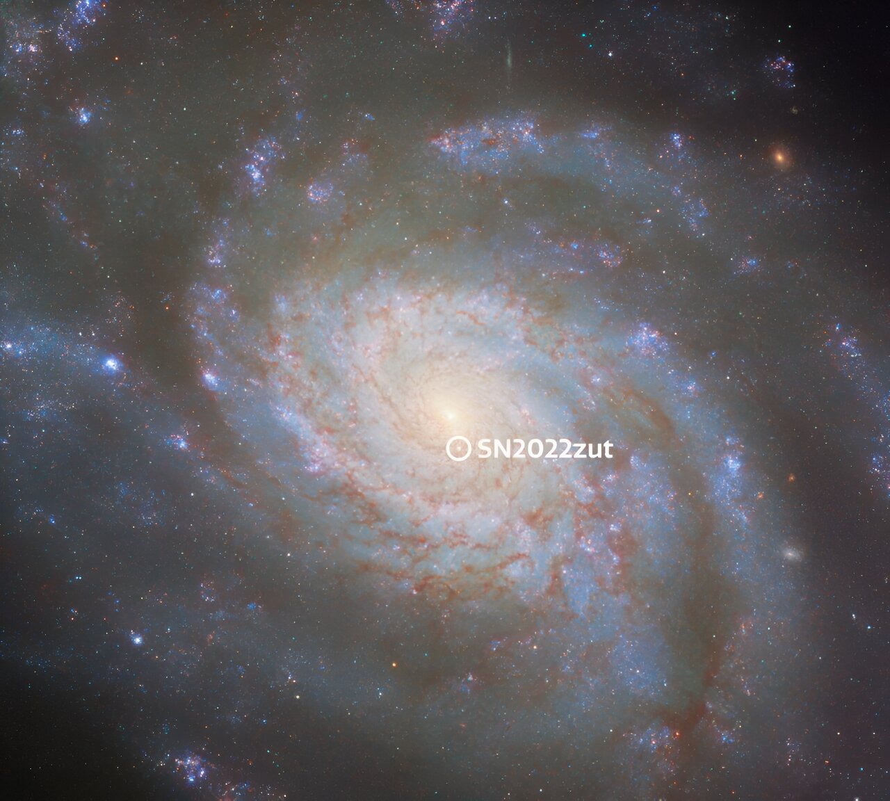 Ova označena Hubbleova slika NGC 3810 prikazuje lokaciju supernove tipa Ia SN 2022zut. To je bila 18.142. supernova otkrivena 2022. godine. Zasluge: ESA/Hubble & NASA, D. Sand, R. J. Foley.