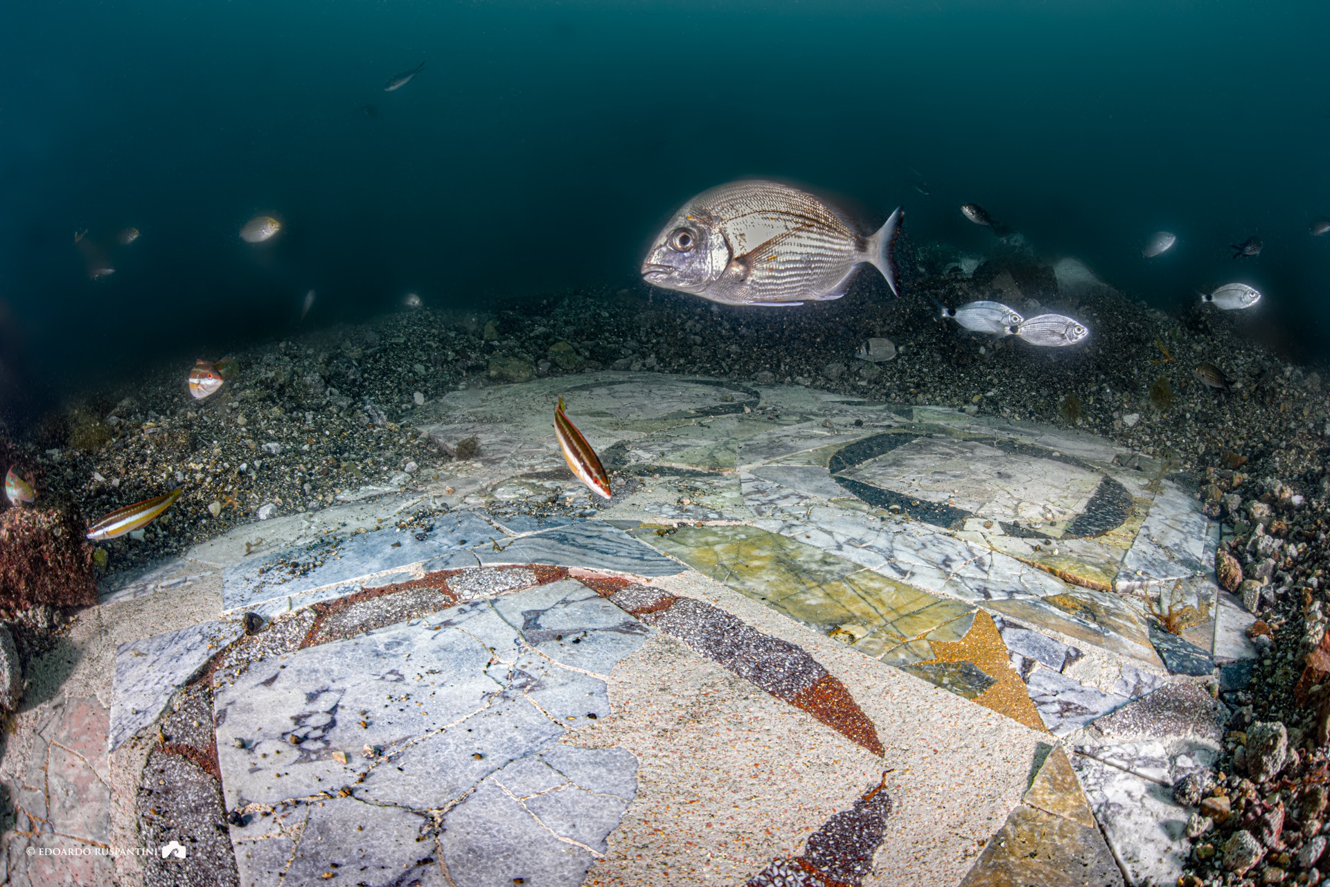 Istraživači otkrili antički rimski mramorni pod na dnu mora