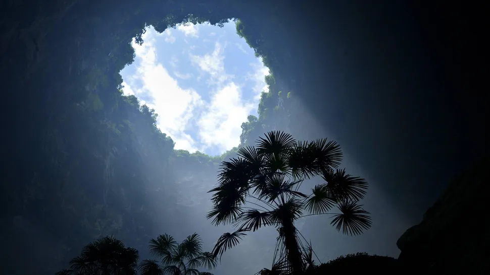 Sunčeva svjetlost obasjava biljke unutar ponora u planinskom okrugu Xuan'en, u kineskoj provinciji Hubei. (Foto: Alamy)