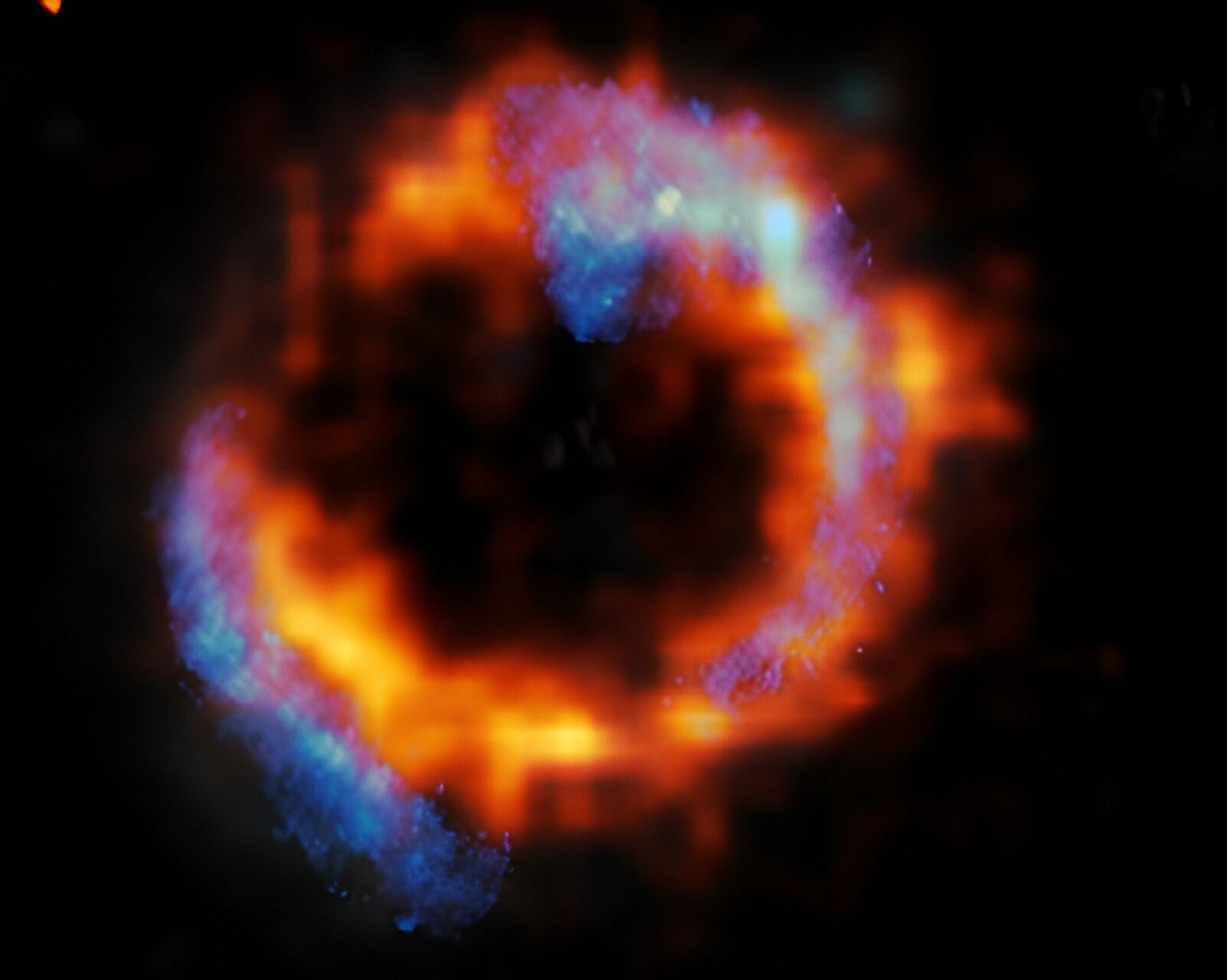 Udaljena galaksija PJ0116-24, hiper sjajna infracrvena galaksija (HyLIRG). Hladni plin prikazan je plavom bojom, dok je topli plin prikazan crvenom bojom. Zasluge: ALMA (ESO/NAOJ/NRAO)/ESO/D. Liu i sur.
