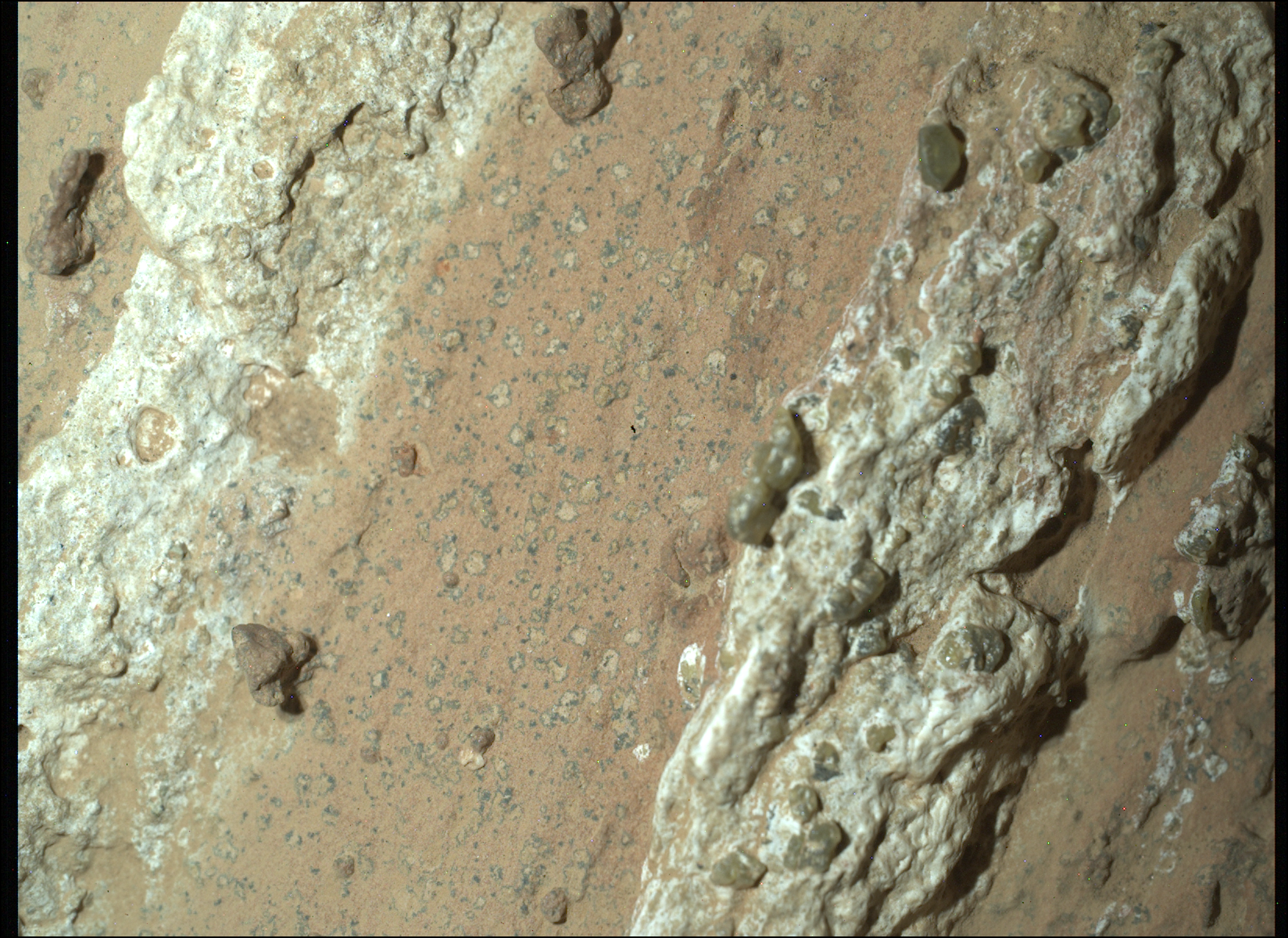 NASA-in rover Perseverance otkrio je "leopardove mrlje" na crvenkastoj stijeni nadimka "Cheyava Falls" u krateru Jezero na Marsu u srpnju 2024. Znanstvenici smatraju da bi ove mrlje mogle ukazivati na to da su se prije milijardi godina u ovoj stijeni odvijale kemijske reakcije koje su mogle služiti kao izvor energije za mikroorganizme. Zaluge: NASA/JPL-Caltech/MSSS.