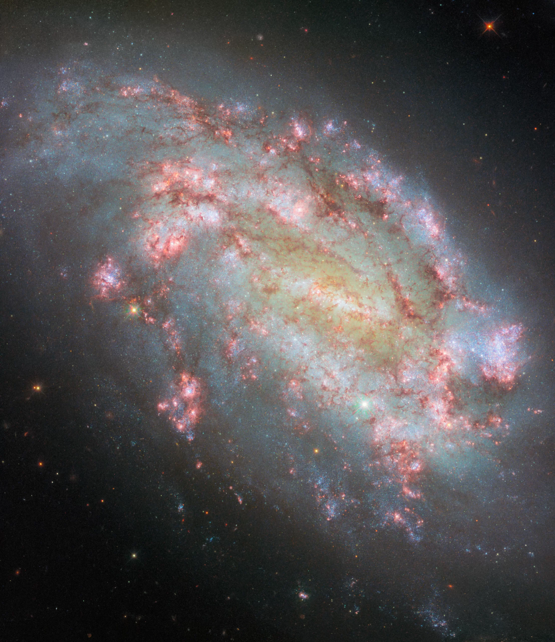 Ova fotografija Svemirskog Teleskopa Hubble prikazuje galaksiju NGC 1559. Zasluge: ESA/Hubble & NASA, F. Belfiore, W. Yuan, J. Lee i PHANGS-HST tim, A. Riess, K. Takáts, D. de Martin & M. Zamani (ESA/Hubble).