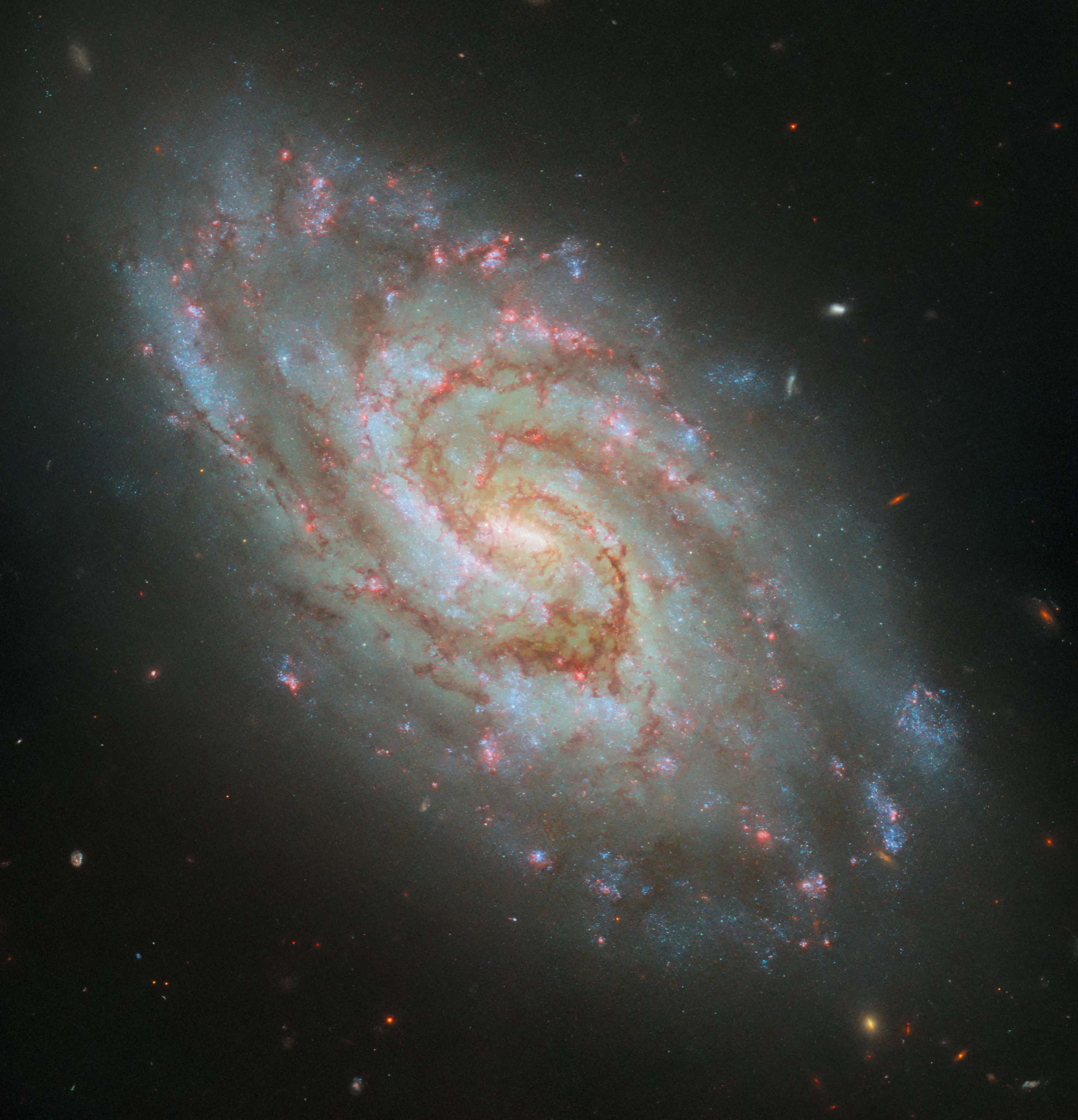 Ova zapanjujuća fotografija Svemirskog teleskopa Hubble prikazuje spiralnu galaksiju IC 1954. Zasluge: ESA/Hubble, NASA-i, D. Thilkeru, J. Leeju i PHANGS-HST.