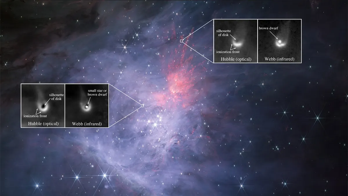 Protoplanetarni diskovi otkriveni su pomoću Hubblea, dok je JWST pružio dodatna promatranja smeđih patuljaka. Izvor: NASA/ESA/CSA, Mark McCaughrean/ESA, Massimo Robberto/STScI/JHU, Kevin Luhman/Penn State, Catarina Alves de Oliveira/ESA.