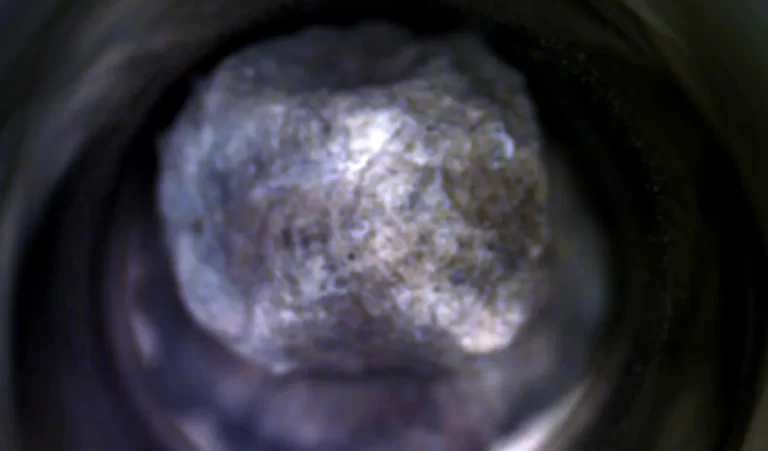 Ova mala stijena, nazvana "Srebrna planina" prema području u kojem je pronađena, najstariji je uzorak koji je dosad prikupio NASA-in rover Perseverance. Izvor slike: NASA/JPL-Caltech