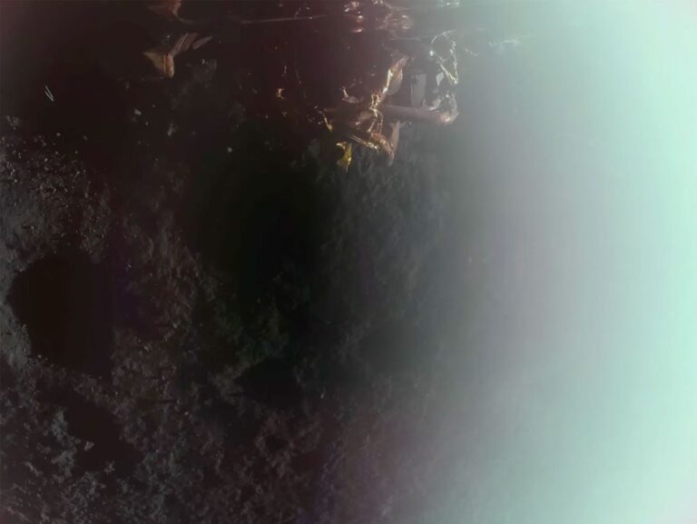 Prva fotografija sa površine Mjeseca kokju je snimio Blue Ghost lander. Zasluge: Firefly Aerospace.
