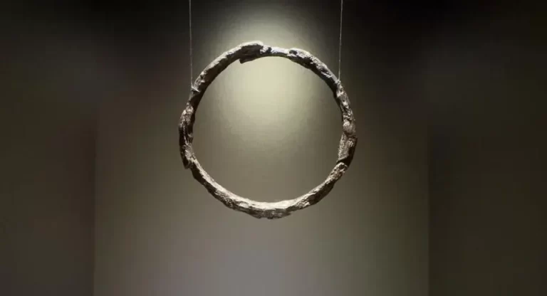 Meteorsko željezo izloženo u Arheološkom muzeju Częstochowa (Izvor: Muzej Częstochowa/Archeologia Żywa/Facebook).