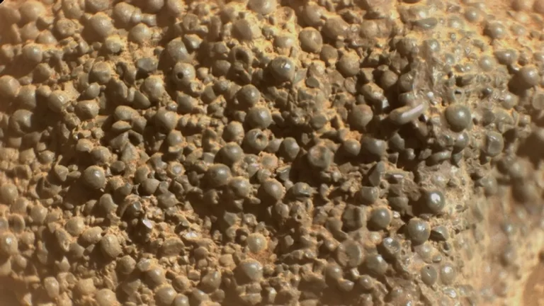 Zbližena fotografija neobične stijene snimljena pomoću SuperCam kamere rovera Perseverance. Izvor fotografije: NASA/JPL-Caltech/LANL/CNES/IRAP.