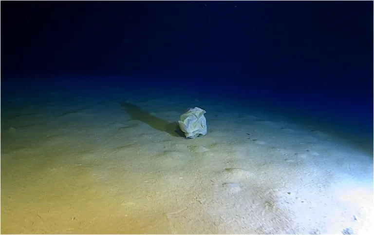 Dno Calypso Deepa, podmorske brazde u Jonskom moru, jedno je od najzagađenijih dubokomorskih područja kada je riječ o morskom otpadu. Zasluge za fotografiju: Caladan Oceanic.