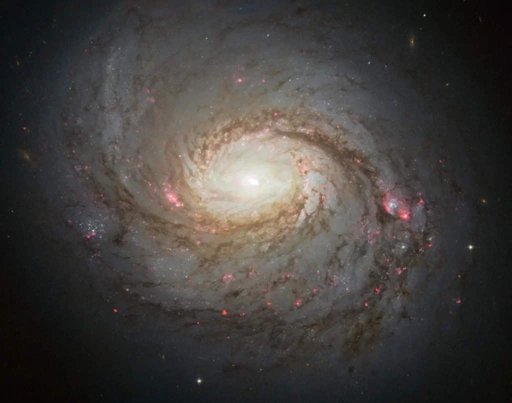 Galaksija Messier 77. Zasluge: NASA.
