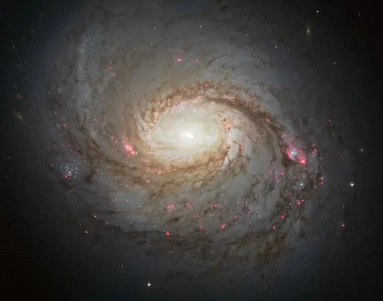 Galaksija Messier 77. Zasluge: NASA.