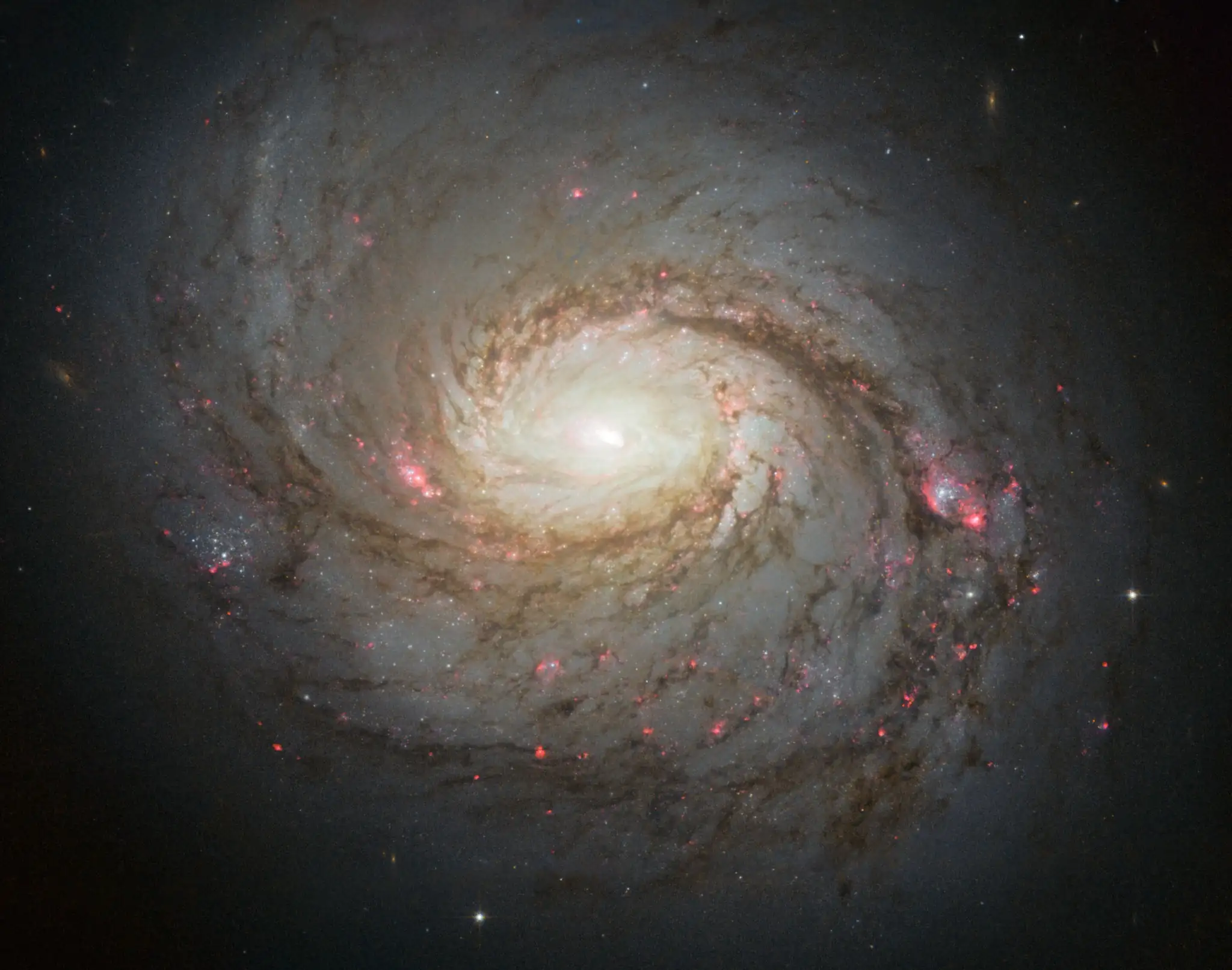Galaksija Messier 77. Zasluge: NASA.