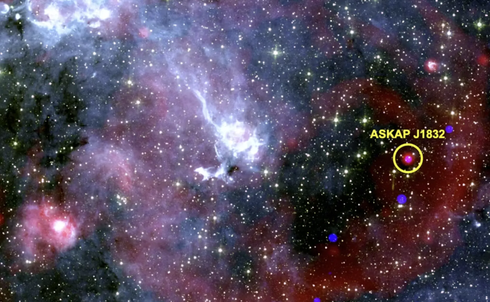 Prikaz dijela neba u kojem se nalazi izvor ASKAP J1832-0911, označen žutom kružnicom. Slika kombinira X-zrake s NASA-inog teleskopa Chandra, radijske podatke sa južnoafričkog teleskopa MeerKAT i infracrvene podatke sa svemirskog teleskopa Spitzer. | Autor fotografije: ICRAR