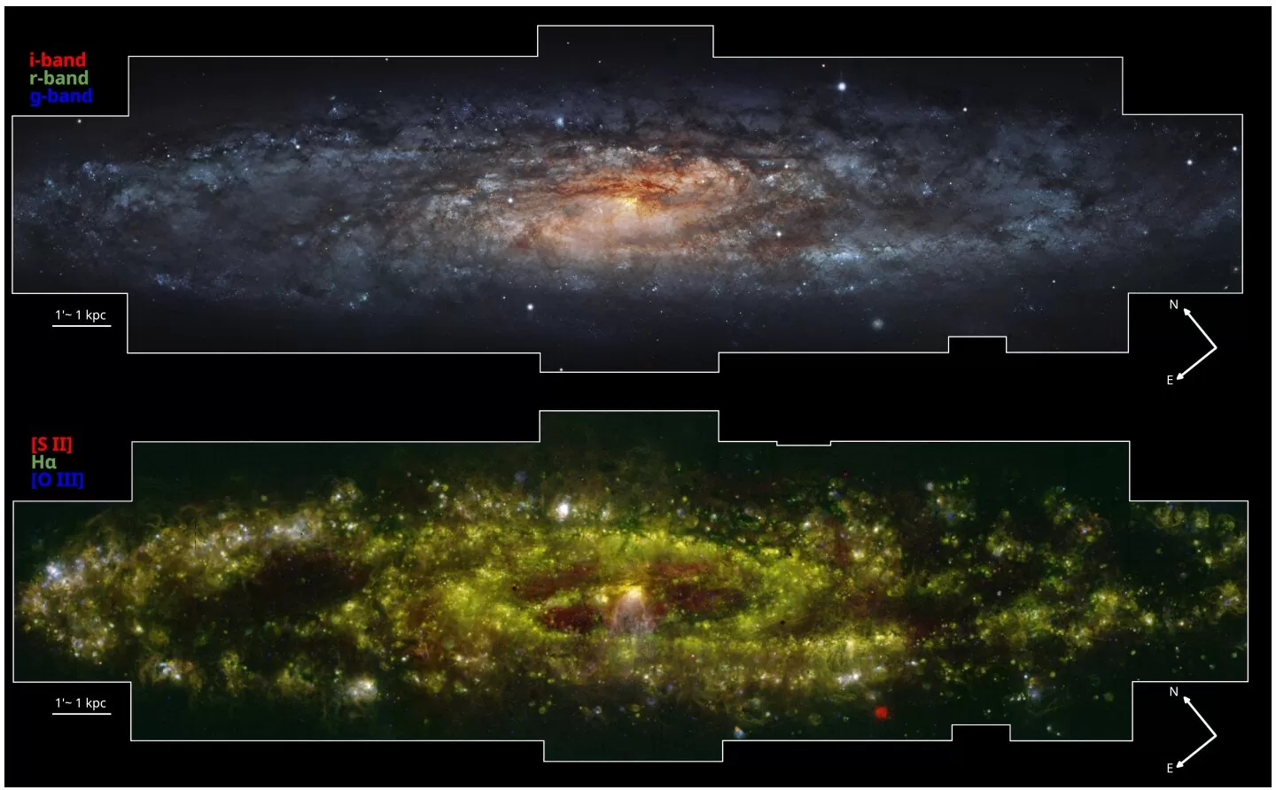 Kolorirane slike galaksije NGC 253 nastale su kombiniranjem širokopojasnih snimki i karata emisijskih linija dobivenih iz MUSE-ovog podatkovnog kockastog spektra.Izvor: Astronomy & Astrophysics / ESO.