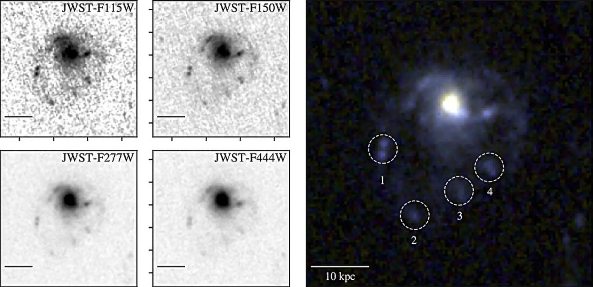 Minijature galaksije COSMOS2020-635829 u četiri JWST filtra nalaze se lijevo. Desno je RGB kompozit sastavljen od F444W (crveni kanal), F277W (zeleni) te F115W + F150W (plavi). Isprekidani krugovi označuju četiri izvorišta izvan glavnog diska, smještena u repu galaksije. Izvor: arXiv (2025), DOI: 10.48550/arxiv.2506.14117.