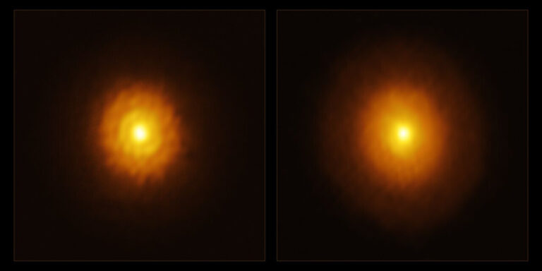 Kad su astronomi prvi put promatrali zvijezdu MP Mus pomoću niza radioteleskopa ALMA (Atacama Large Millimeter/submillimeter Array), zatekli su ravnomjeran disk bez ikakvih znakova planeta – što je vidljivo na desnoj slici. No tim pod vodstvom Álvara Ribasa, astronoma sa Sveučilišta u Cambridgeu, odlučio joj dati još jednu priliku. Zvijezdu su ponovno promatrali na duljim valnim duljinama, koje prodiru dublje u protoplanetarni disk nego ranije. Upravo su ta nova promatranja – prikazana na lijevoj slici – otkrila prsten i pukotinu koja je prethodno bila zaklonjena, sugerirajući da MP Mus ipak nije sama. Izvor: ALMA (ESO/NAOJ/NRAO) / A. Ribas i sur.