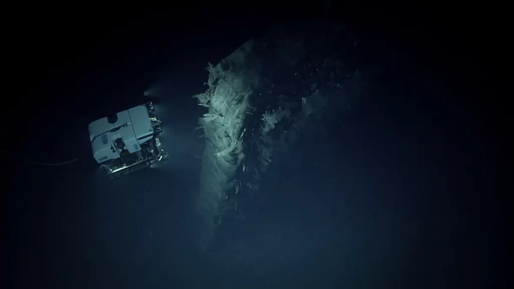 Neobična vulkanska formacija pokazala se privlačnom za lokalni morski svijet. Zasluge za fotografiju: NOAA Ocean Exploration, 2025 Beyond the Blue.