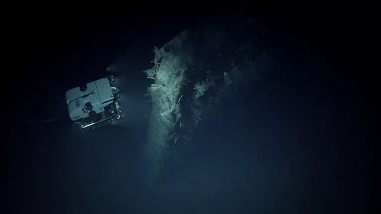 Neobična vulkanska formacija pokazala se privlačnom za lokalni morski svijet. Zasluge za fotografiju: NOAA Ocean Exploration, 2025 Beyond the Blue.