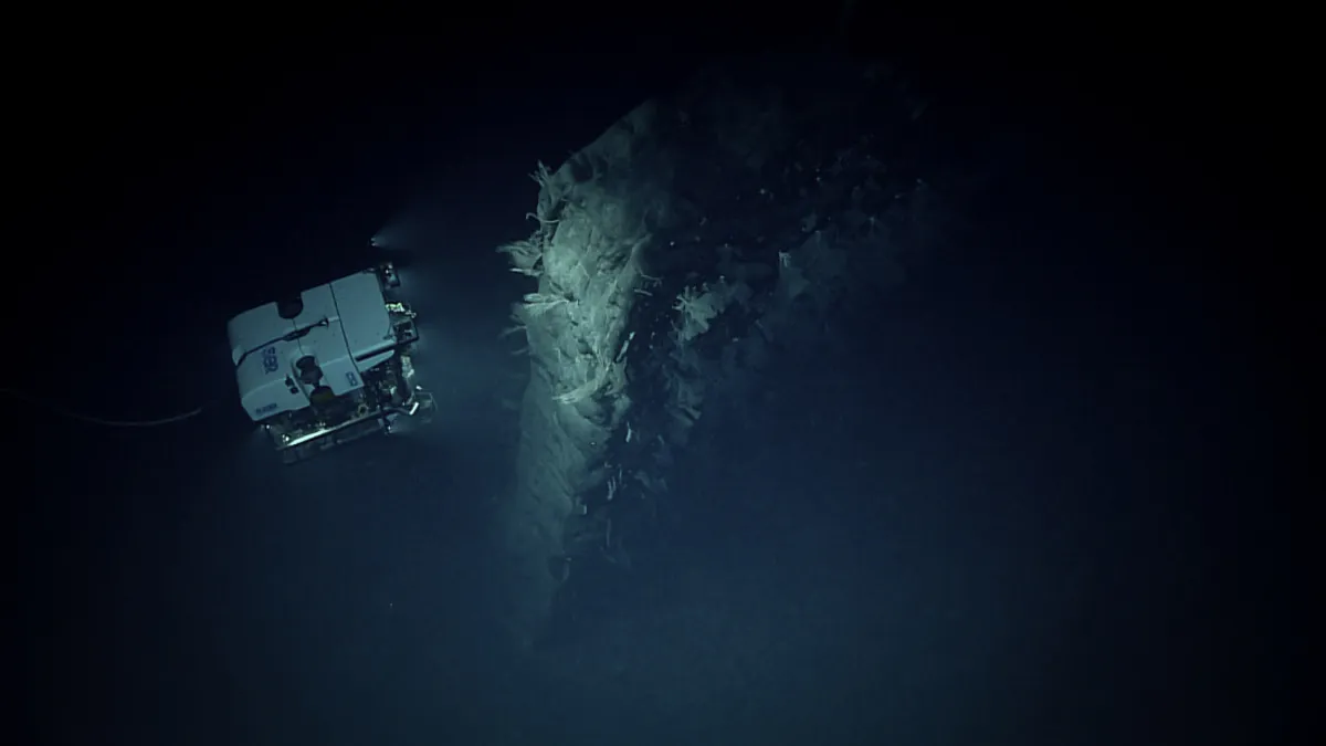 Neobična vulkanska formacija pokazala se privlačnom za lokalni morski svijet. Zasluge za fotografiju: NOAA Ocean Exploration, 2025 Beyond the Blue.