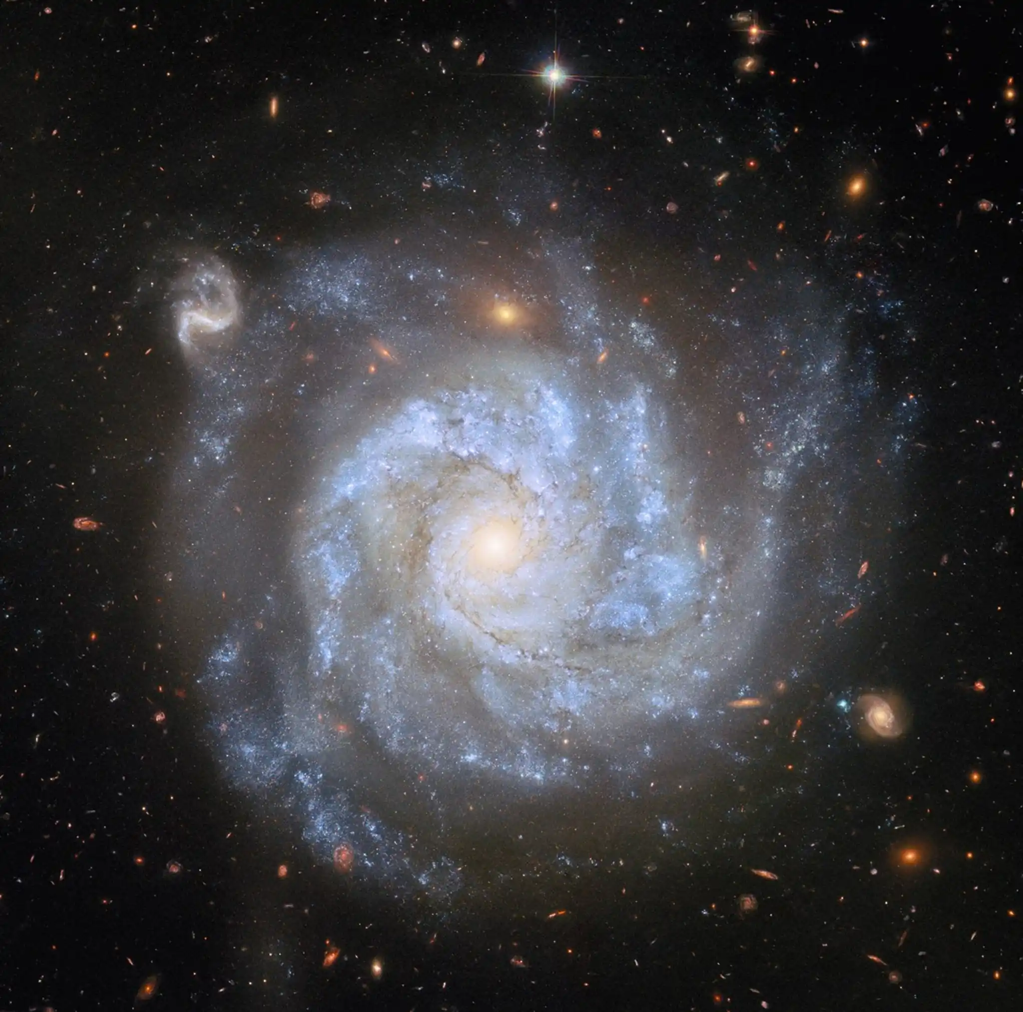 Ova snimka Svemirskog teleskopa Hubble, zajedničkog projekta NASA-e i ESA-e, prikazuje spiralnu galaksiju NGC 1309 u položaju licem prema nama. Izvor: ESA/Hubble & NASA, L. Galbany, S. Jha, K. Noll, A. Riess