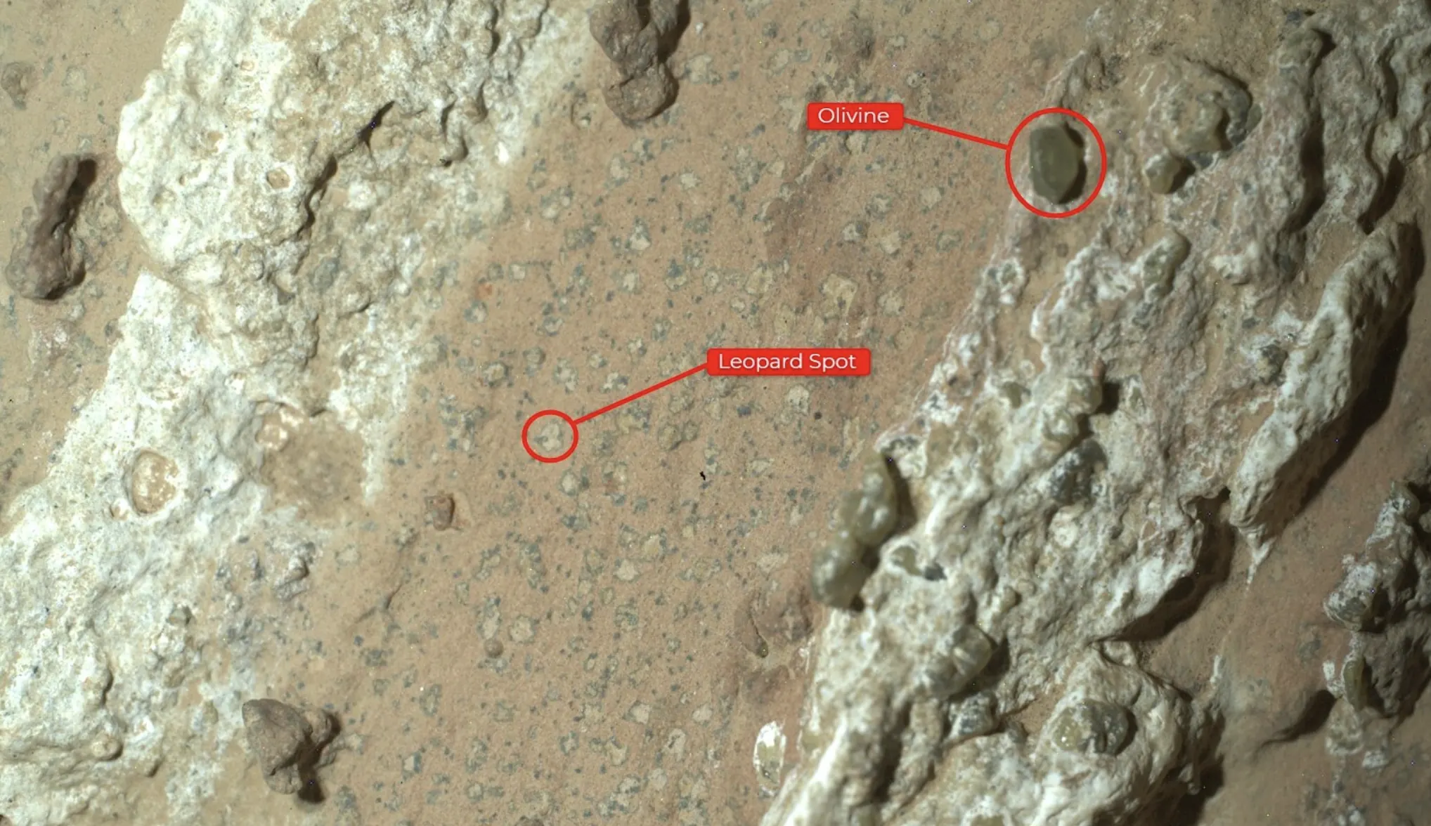 Biopotpis na Marsu Perseverance. Zasluge: NASA.