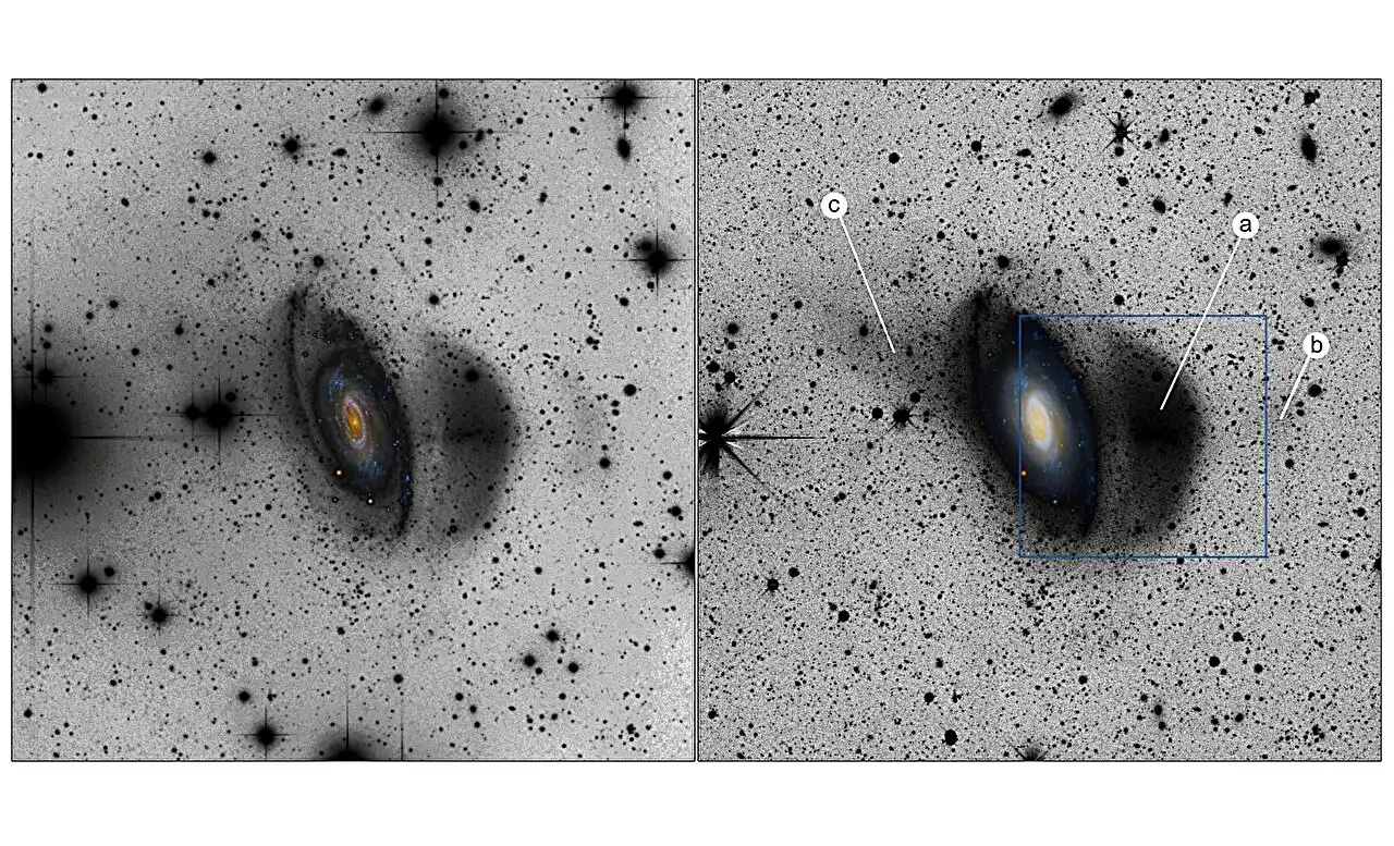 Amaterska snimka galaksije NGC 7531 (lijevo). Snimka iz DESI Legacy Imaging Surveyja (desno). Za potrebe fotometrijskih mjerenja korištena je slika galaksije NGC 7531 obrađena programom NoiseChisel iz paketa Gnuastro, s uklonjenom pozadinom neba. Označene su značajke: (a) glavna plimna struktura; (b) slabo vidljiva vanjska struktura; (c) suprotni plimni rep. Izvor: arXiv (2025). DOI: 10.48550/arxiv.2509.14038