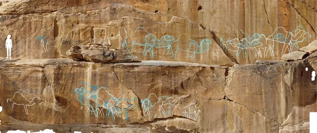 Fotografija dronom prikazuje veliku ploču s kamenom umjetnošću na lokalitetu Jebel Misma, s ilustracijama istaknutim plavom i bijelom bojom u postprodukciji. Izvor fotografije: Sahout Rock Art and Archaeology Project