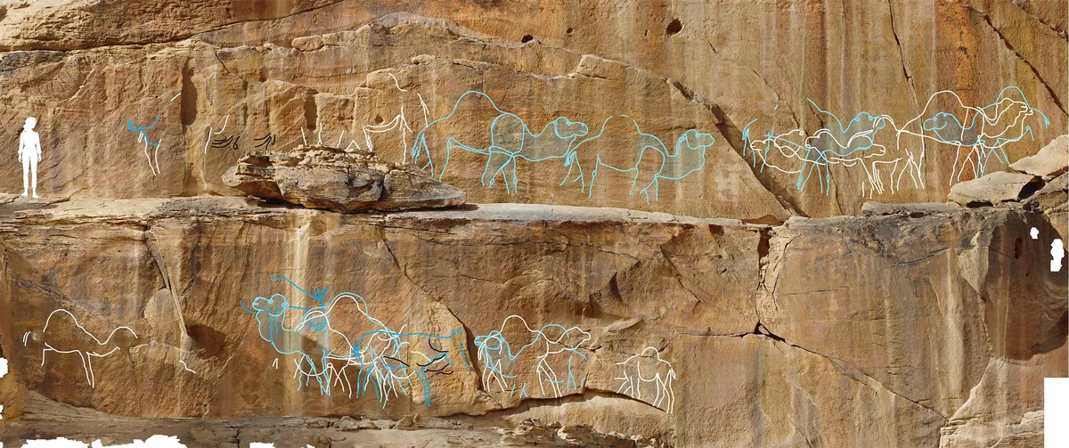 Fotografija dronom prikazuje veliku ploču s kamenom umjetnošću na lokalitetu Jebel Misma, s ilustracijama istaknutim plavom i bijelom bojom u postprodukciji. Izvor fotografije: Sahout Rock Art and Archaeology Project