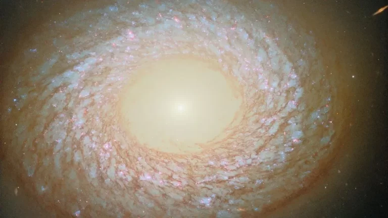 NGC 2775. Zasluge za fotografiju: ESA/Hubble i NASA, F. Belfiore, J. Lee i tim PHANGS–HST
