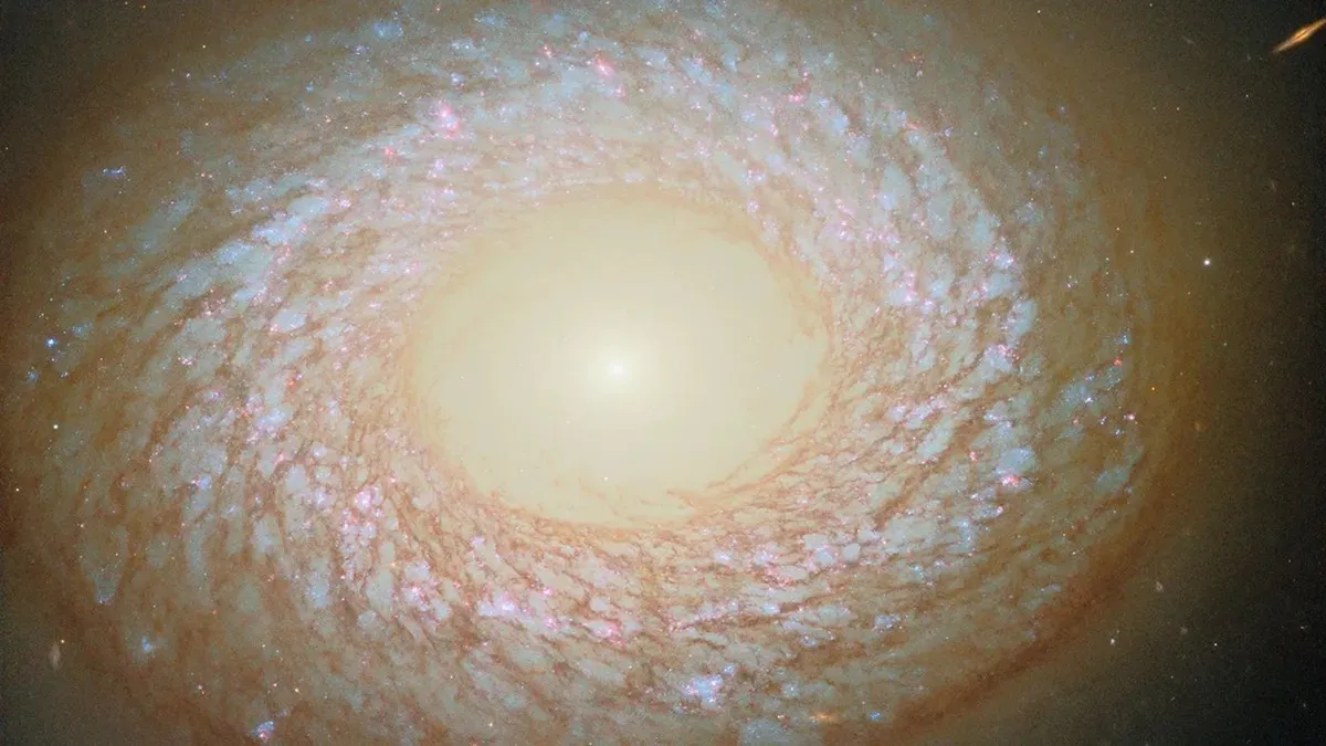 NGC 2775. Zasluge za fotografiju: ESA/Hubble i NASA, F. Belfiore, J. Lee i tim PHANGS–HST