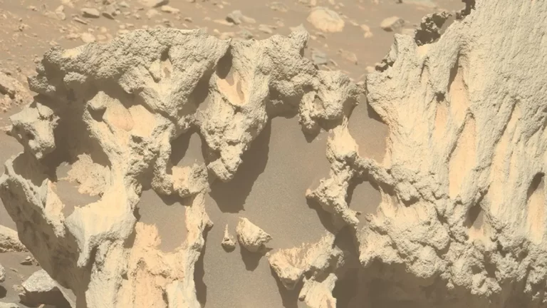 Prikaz neobične stijene koju je na Marsu otkrio NASA-in rover Perseverance. Dio njezinih obilježja posljedica je erozije. Zasluge: NASA/JPL-Caltech/ASU