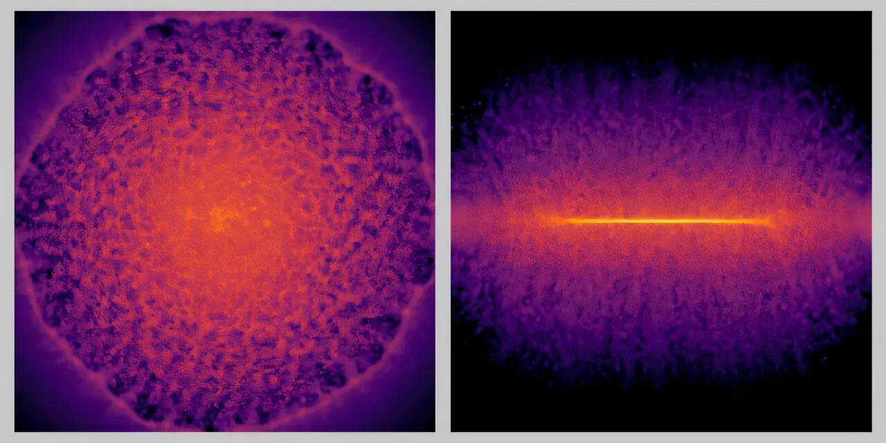 Pogled sprijeda (lijevo) i iz profila (desno) na disk galaksije ispunjen plinom. Prikazane strukture nastale su nakon eksplozije supernove, a generirao ih je zamjenski model temeljen na dubokom učenju. Zasluge: RIKEN