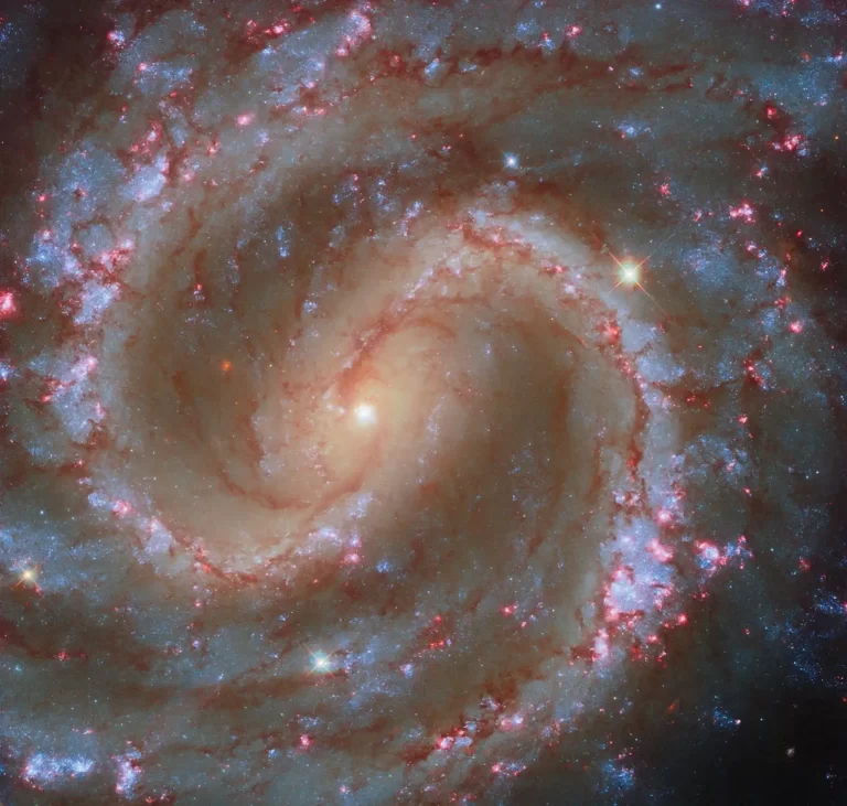 NGC 4535. Zasluge: ESA/Hubble i NASA, F. Belfiore, J. Lee i tim PHANGS-HST.