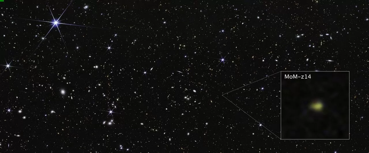 Polje COSMOS – galaksija MoM-z14 (izrez slike NIRCam). Zasluge: Europska svemirska agencija
