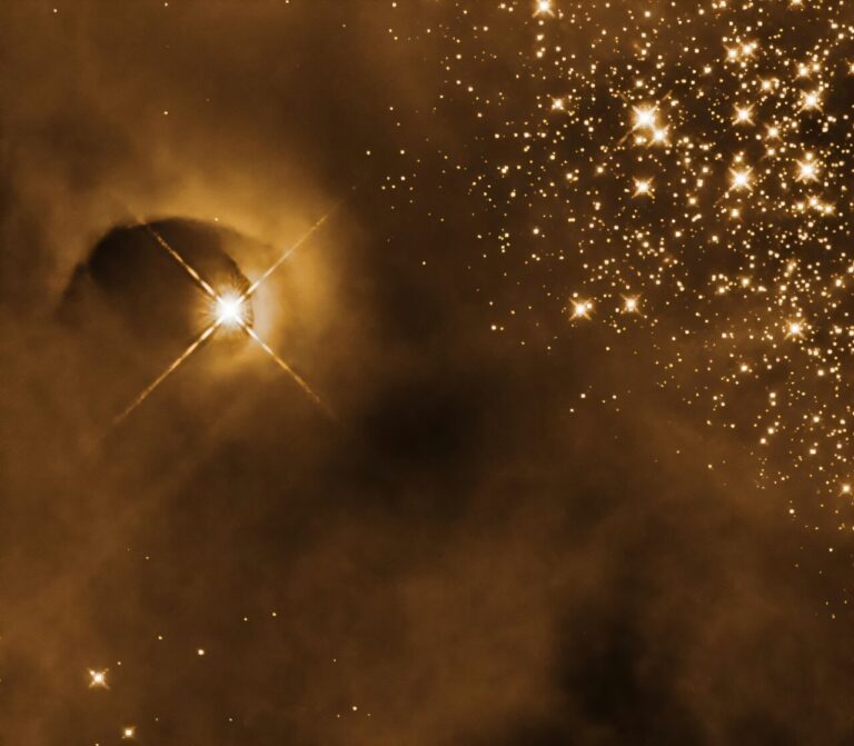 Ova snimka svemirskog teleskopa Hubble prikazuje protozvijezdu i veliku šupljinu koju je izdubila u okolnom plinu u kompleksu Molekularnog oblaka Orion. U pozadini se desno vide rasute zvijezde. Izvor: NASA, ESA i T. Megeath (Sveučilište u Toledu); obrada: Gladys Kober (NASA/Katoličko sveučilište Amerike)
