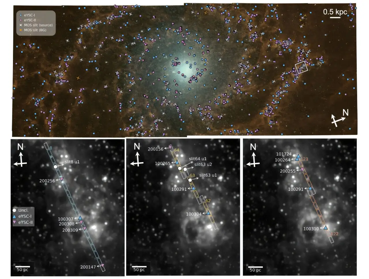 Gore: Složena slika galaksije NGC 628, pri čemu je značajka PAH na 3,3 mikrometra (NIRCam/F335M) prikazana crveno, Brα (NIRCam/F405N) zeleno, a zvjezdani kontinuum (NIRCam/F444W) plavo. Krugovi označuju položaje mladih zvjezdanih skupova koji tek izranjaju iz svojega izvornog okruženja. Područje od interesa, na koje se rad usredotočuje, istaknuto je bijelim okvirom, a zatim dodatno uvećano u tri donja prikaza.Dolje: Uvećani prikazi u pozadini prikazuju NIRCam/F335M, zajedno s tragovima procjepa opažanja NIRSpec/MOS za to područje, uključujući oznake pojedinih procjepa, kroz tri različite konfiguracije sklopa Micro-Shutter Assembly (MSA) lijevo, u sredini i desno.
Zasluge: arXiv (2026). DOI: 10.48550/arxiv.2603.09866