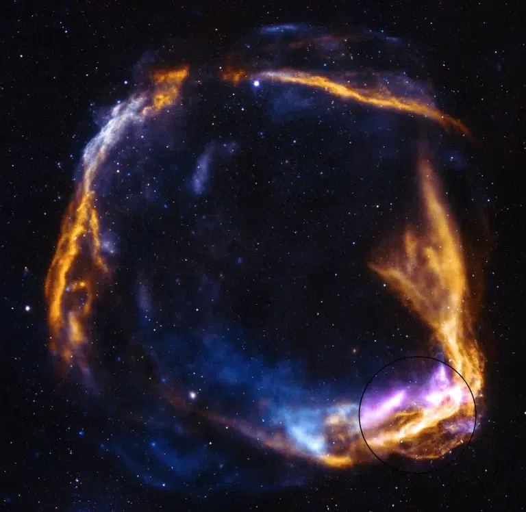 NASA-in IXPE promatrao je vanjski rub ostatka supernove, istaknut ljubičastom bojom u uvećanom prikazu. Podaci IXPE-a spojeni su s podacima NASA-ina rendgenskog opservatorija Chandra i ESA-ina teleskopa XMM-Newton. Žuta boja prikazuje rendgensko zračenje niže energije, dok plava označava rendgensko zračenje više energije koje su zabilježili Chandra i XMM-Newton. Zvjezdano polje na slici potječe iz Nacionalnog optičko-infracrvenog astronomskog istraživačkog laboratorija Nacionalne zaklade za znanost, NOIRLaba. Zasluge: NASA/X-ray: Chandra: NASA/CXC/SAO, XMM: ESA/XMM-NEWTON, IXPE: NASA/MSFC; Optical: NSF/NOIRLab; Image Processing: NASA/CXC/SAO/J