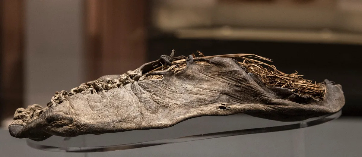 Malo zgnječena, ali za gotovo 6.000 godina nije loše. Autor fotografije: David Castor via Wikimedia Commons (CC0)