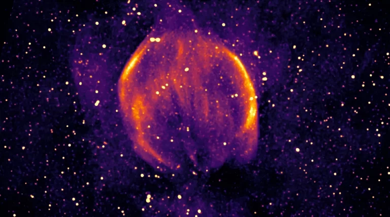 ASKAP-ova slika ostatka supernove Abeona (G310.7–5.4). Izvor: arXiv (2026). DOI: 10.48550/arxiv.2604.19897.