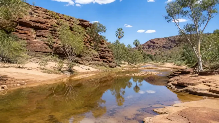 Fotorealistična ilustracija plitkog toka rijeke Finke, odnosno Larapinte, u području Palm Valley u Nacionalnom parku Finke Gorge u Australiji, s crvenim stijenama, pješčanim obalama, eukaliptusima i rijetkim palmama.