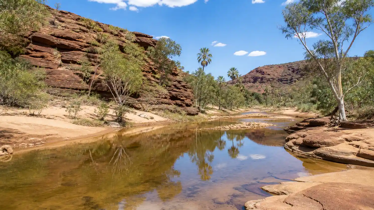 Fotorealistična ilustracija plitkog toka rijeke Finke, odnosno Larapinte, u području Palm Valley u Nacionalnom parku Finke Gorge u Australiji, s crvenim stijenama, pješčanim obalama, eukaliptusima i rijetkim palmama.