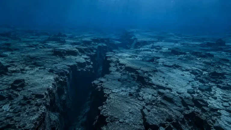 Fotorealističan prikaz dubokog rasjeda na oceanskom dnu, s tamnom pukotinom koja se proteže kroz stjenoviti krajolik pod plavim svjetlom dubokog mora.