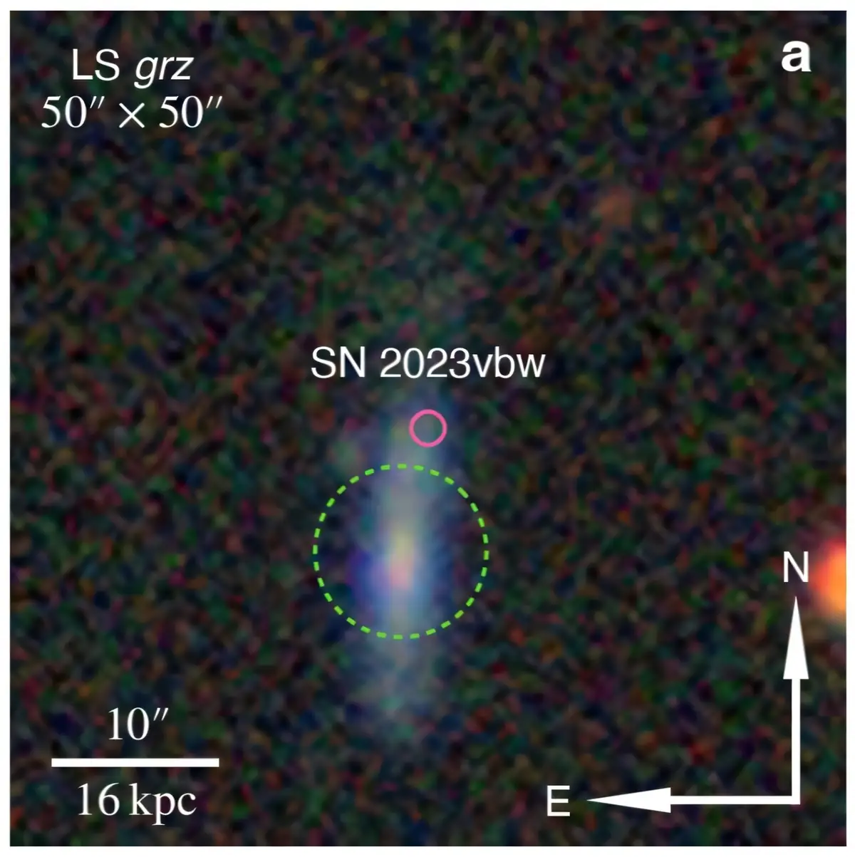 Astronomska fotografija prikazuje lokaciju supernove SN 2023vbw označenu ružičastim krugom iznad patuljaste galaksije domaćina označene zelenim krugom.